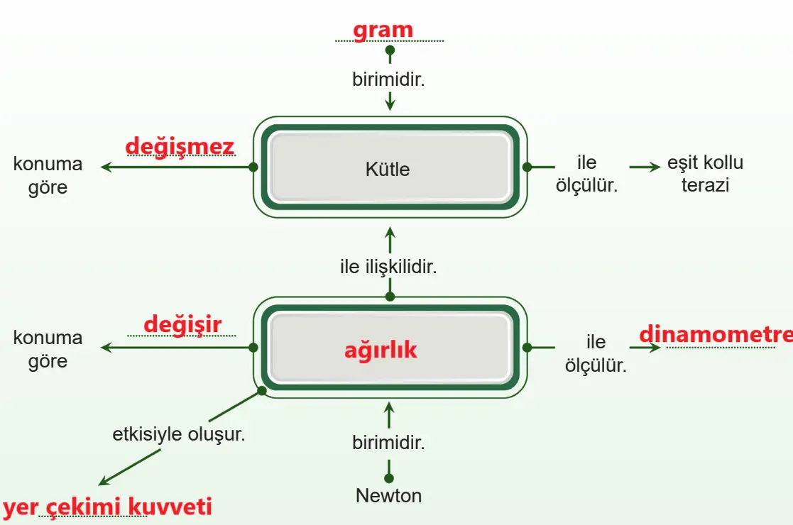 5. Sınıf Fen Bilimleri Ders Kitabı Sayfa 75 Cevapları MEB Yayınları