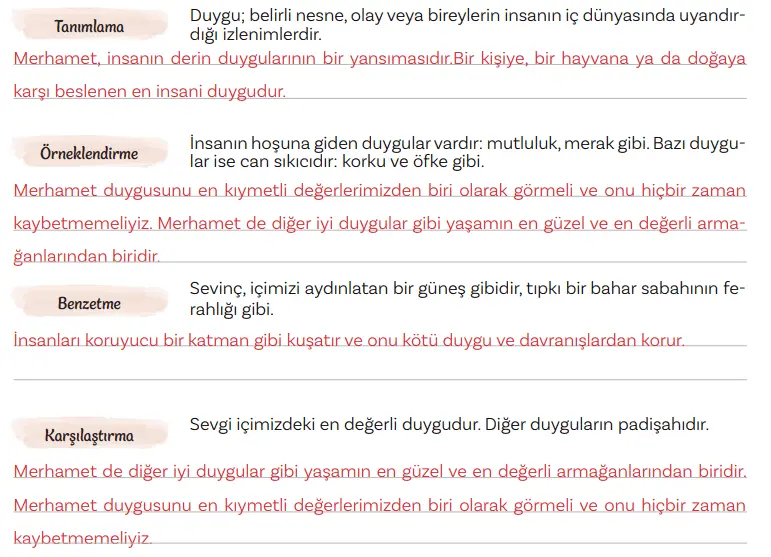 5. Sınıf Türkçe Ders Kitabı Sayfa 143 Cevapları MEB Yayınları