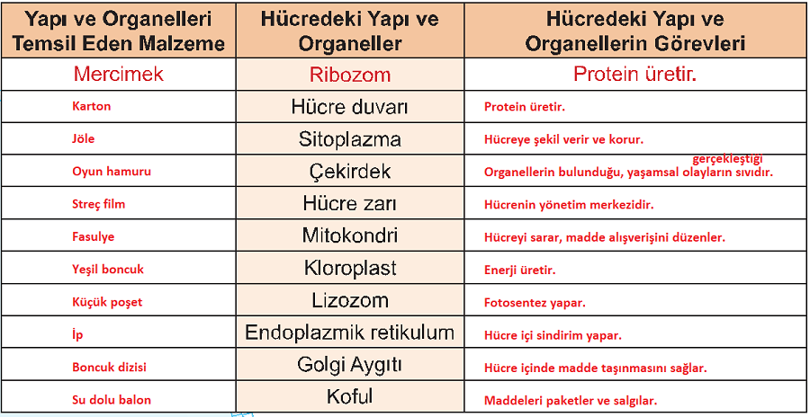 5. Sınıf Fen Bilimleri Ders Kitabı Sayfa 112 Cevapları 5. Sınıf Fen Bilimleri Ders Kitabı Sayfa 112 Cevapları