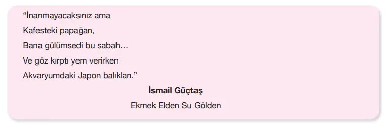 7.  Sınıf Türkçe Ders Kitabı Sayfa 104 Cevapları Özgün Yayınları1