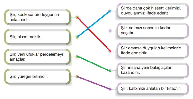 7.  Sınıf Türkçe Ders Kitabı Sayfa 87 Cevapları Özgün Yayınları