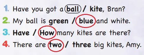 3. Sınıf İngilizce Ders Kitabı Sayfa 81 Cevapları SDR Dikey Yayıncılık