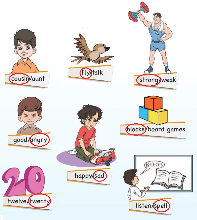 3. Sınıf İngilizce Ders Kitabı 86-87-88-89-90-91-92-93-94. Sayfa Cevapları SDR Dikey Yayıncılık 3. Sınıf İngilizce Ders Kitabı Sayfa 93 Cevapları SDR Dikey Yayıncılık