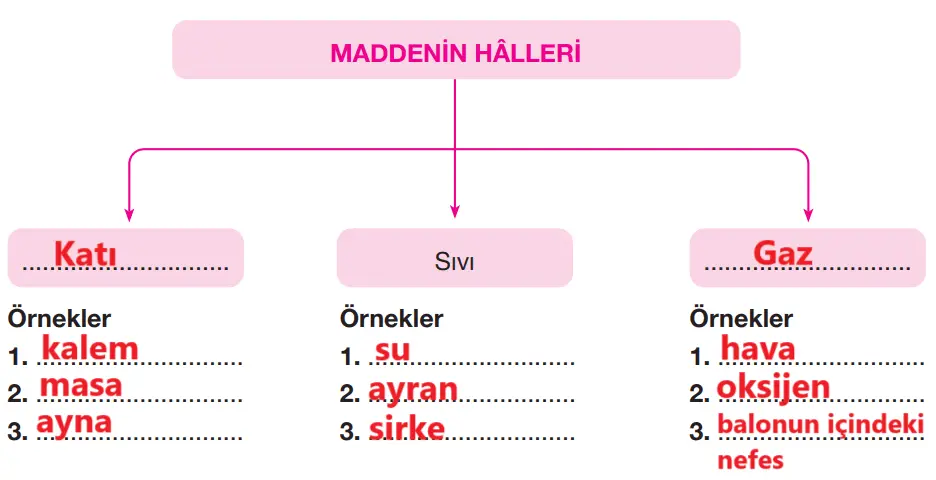 4. Sınıf Fen Bilimleri Ders Kitabı Sayfa 163 Cevapları Pasifik Yayıncılık