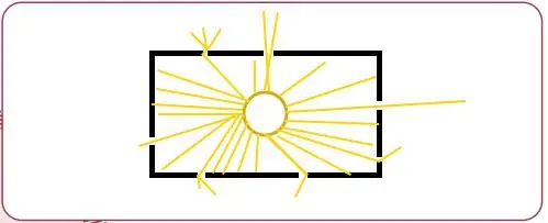 5. Sınıf Fen Bilimleri Ders Kitabı Sayfa 20 Cevapları MEB Yayınları