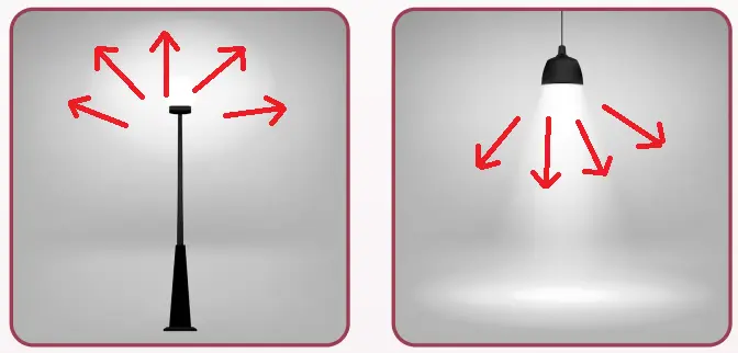 5. Sınıf Fen Bilimleri Ders Kitabı Sayfa 22 Cevapları MEB Yayınları1