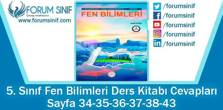 5. Sınıf Fen Bilimleri Ders Kitabı Sayfa 34-35-36-37-38-43. Cevapları MEB Yayınları