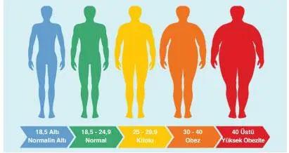 6. Sınıf Matematik Ders Kitabı 165-173-174-175-176-177. Sayfa Cevapları Doğa Yayıncılık 6. Sınıf Matematik Ders Kitabı Sayfa 177 Cevapları Doğa Yayıncılık