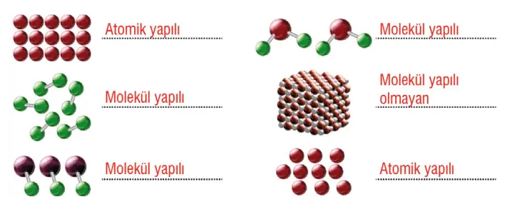 7. Sınıf Fen Bilimleri Ders Kitabı Sayfa 114 Cevapları MEB Yayınları