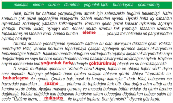 7. Sınıf Fen Bilimleri Ders Kitabı Sayfa 129 Cevapları MEB Yayınları2