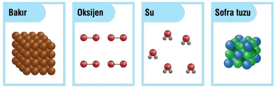 7. Sınıf Fen Bilimleri Ders Kitabı Sayfa 142 Cevapları MEB Yayınları