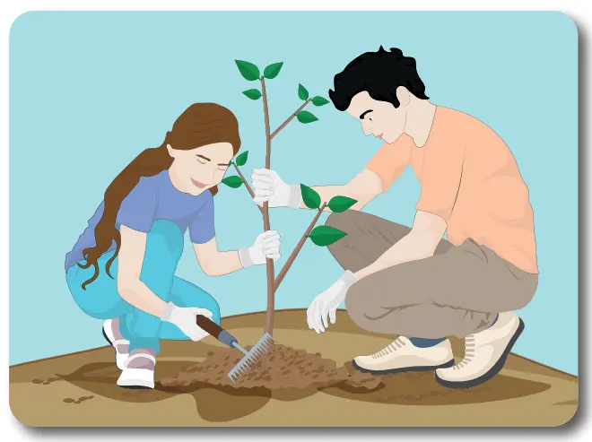 7. Sınıf Türkçe Ders Kitabı Sayfa 136 Cevapları MEB Yayınları