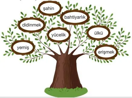 7.  Sınıf Türkçe Ders Kitabı Sayfa 155 Cevapları Özgün Yayınları