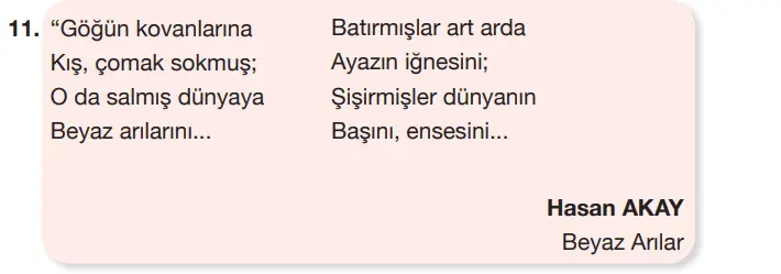 7.  Sınıf Türkçe Ders Kitabı Sayfa 167 Cevapları Özgün Yayınları