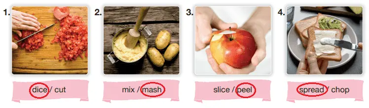 8. Sınıf İngilizce Ders Kitabı Sayfa 42 Cevapları Bilim Ve Kültür Yayınları1