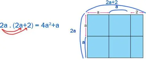 8. Sınıf Matematik Ders Kitabı Sayfa 117 Cevapları ADA Yayıncılık