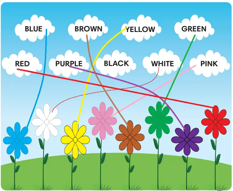 2. Sınıf İngilizce Ders Kitabı 54-55-56-57-58-59-60-61-62-63-64. Sayfa Cevapları MEB Yayınları 2. Sınıf İngilizce Ders Kitabı Sayfa 55 Cevapları MEB Yayınları