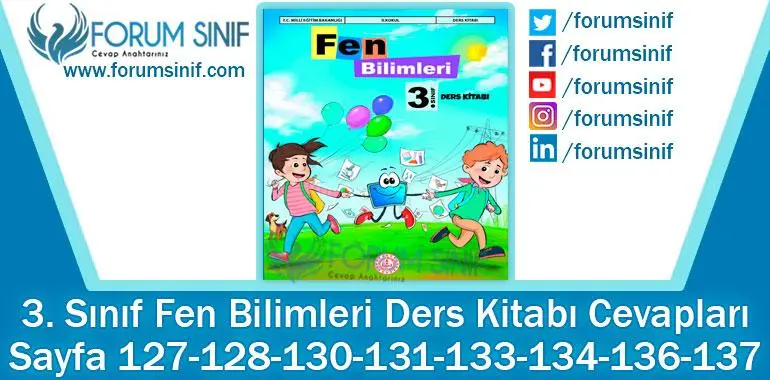 3. Sınıf Fen Bilimleri Ders Kitabı Sayfa 127-128-130-131-133-134-136-137. Cevapları MEB Yayınları