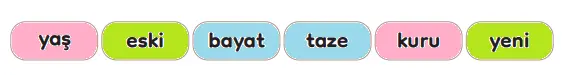 3. Sınıf Türkçe Ders Kitabı Sayfa 222-223-224-225. Cevapları MEB Yayınları 3. Sınıf Türkçe Ders Kitabı Sayfa 223 Cevapları MEB Yayınları