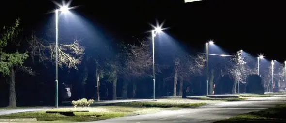 4. Sınıf Fen Bilimleri Ders Kitabı Sayfa 159 Cevapları Pasifik Yayıncılık