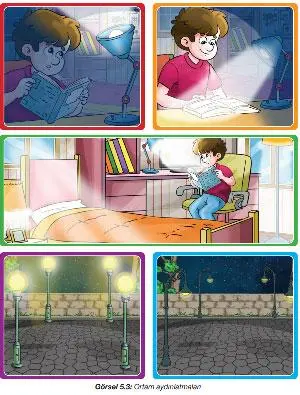 4. Sınıf Fen Bilimleri Ders Kitabı Sayfa 173-174-175-176-177-179-180. Cevapları Pasifik Yayıncılık 4. Sınıf Fen Bilimleri Ders Kitabı Sayfa 174 Cevapları Pasifik Yayıncılık