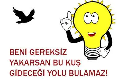 4. Sınıf Fen Bilimleri Ders Kitabı Sayfa 186 Cevapları Pasifik Yayıncılık