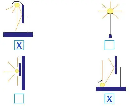 4. Sınıf Fen Bilimleri Ders Kitabı Sayfa 206 Cevapları Pasifik Yayıncılık