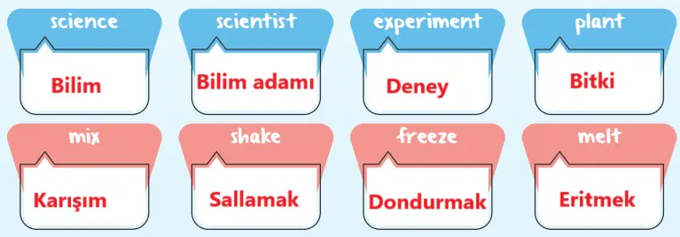 4. Sınıf İngilizce Ders Kitabı Sayfa 86 Cevapları SDR Dikey Yayıncılık