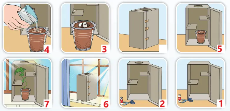 4. Sınıf İngilizce Ders Kitabı 89-90-91-92-93-94-95-96. Sayfa Cevapları SDR Dikey Yayıncılık 4. Sınıf İngilizce Ders Kitabı Sayfa 93 Cevapları SDR Dikey Yayıncılık