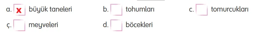 4. Sınıf Türkçe Ders Kitabı 196-197-198-199-200. Sayfa Cevapları TUNA Yayınları 4. Sınıf Türkçe Ders Kitabı Sayfa 196 Cevapları TUNA Yayınları