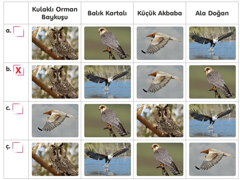 4. Sınıf Türkçe Ders Kitabı 196-197-198-199-200. Sayfa Cevapları TUNA Yayınları 4. Sınıf Türkçe Ders Kitabı Sayfa 199 Cevapları TUNA Yayınları