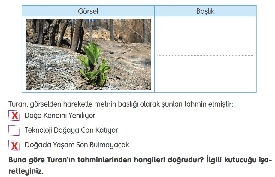 4. Sınıf Türkçe Ders Kitabı 196-197-198-199-200. Sayfa Cevapları TUNA Yayınları 4. Sınıf Türkçe Ders Kitabı Sayfa 200 Cevapları TUNA Yayınları