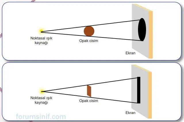 5. Sınıf Fen Bilimleri Ders Kitabı Sayfa 36 Cevapları MEB Yayınları