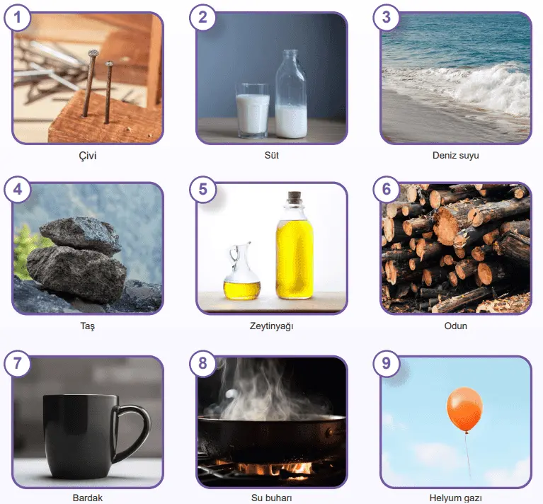 5. Sınıf Fen Bilimleri Ders Kitabı Sayfa 53-54-55-56-57-59-60-61-62-63. Cevapları MEB Yayınları 5. Sınıf Fen Bilimleri Ders Kitabı Sayfa 63 Cevapları MEB Yayınları