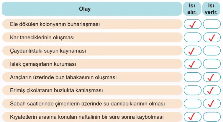 5. Sınıf Fen Bilimleri Ders Kitabı Sayfa 74-75-76-77-78-79-80-83-84. Cevapları MEB Yayınları 5. Sınıf Fen Bilimleri Ders Kitabı Sayfa 79 Cevapları MEB Yayınları