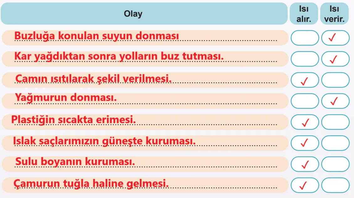 5. Sınıf Fen Bilimleri Ders Kitabı Sayfa 74-75-76-77-78-79-80-83-84. Cevapları MEB Yayınları 5. Sınıf Fen Bilimleri Ders Kitabı Sayfa 79 Cevapları MEB Yayınları1