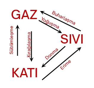 5. Sınıf Fen Bilimleri Ders Kitabı Sayfa 74-75-76-77-78-79-80-83-84. Cevapları MEB Yayınları 5. Sınıf Fen Bilimleri Ders Kitabı Sayfa 80 Cevapları MEB Yayınları