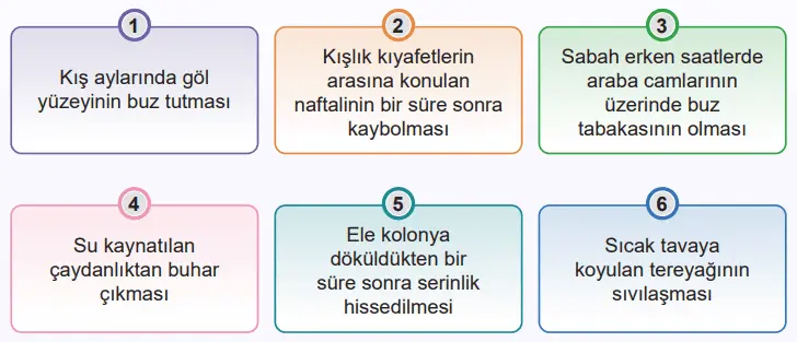 5. Sınıf Fen Bilimleri Ders Kitabı Sayfa 74-75-76-77-78-79-80-83-84. Cevapları MEB Yayınları 5. Sınıf Fen Bilimleri Ders Kitabı Sayfa 84 Cevapları MEB Yayınları1