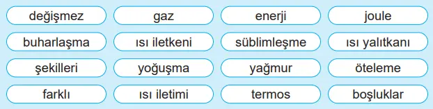 5. Sınıf Fen Bilimleri Ders Kitabı Sayfa 96 Cevapları MEB Yayınları