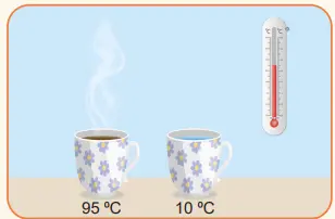 5. Sınıf Fen Bilimleri Ders Kitabı Sayfa 98 Cevapları MEB Yayınları