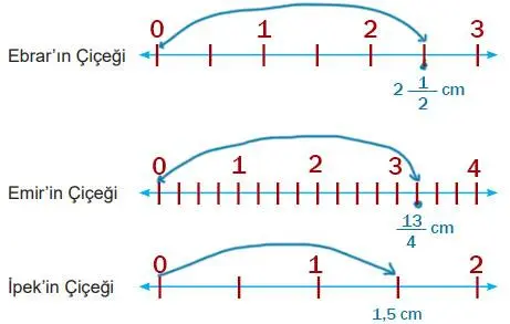 5. Sınıf Matematik Ders Kitabı Sayfa 30 Cevapları MEB Yayınları