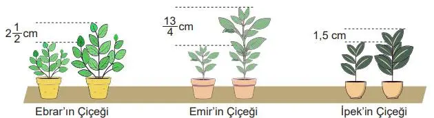 5. Sınıf Matematik Ders Kitabı Sayfa 30 Cevapları MEB Yayınları