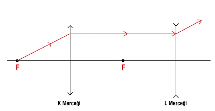 7. Sınıf Fen Bilimleri Ders Kitabı Sayfa 173 Cevapları MEB Yayınları