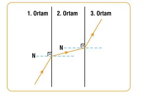 7. Sınıf Fen Bilimleri Ders Kitabı Sayfa 173 Cevapları MEB Yayınları