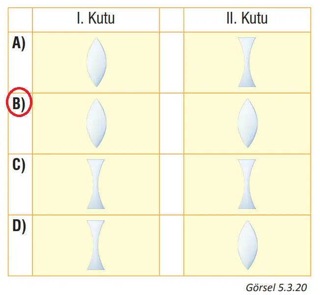 7. Sınıf Fen Bilimleri Ders Kitabı Sayfa 177 Cevapları MEB Yayınları