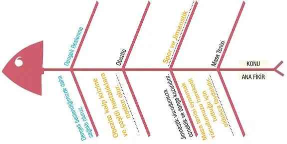 7. Sınıf Türkçe Ders Kitabı Sayfa 217 Cevapları MEB Yayınları