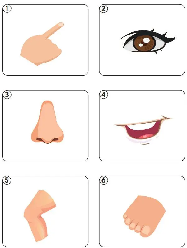 2. Sınıf İngilizce Ders Kitabı Sayfa 78 Cevapları MEB Yayınları