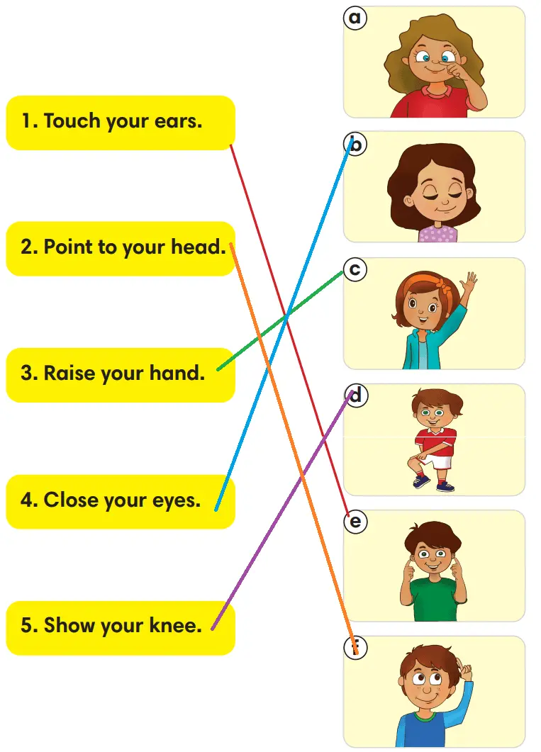 2. Sınıf İngilizce Ders Kitabı Sayfa 84 Cevapları MEB Yayınları