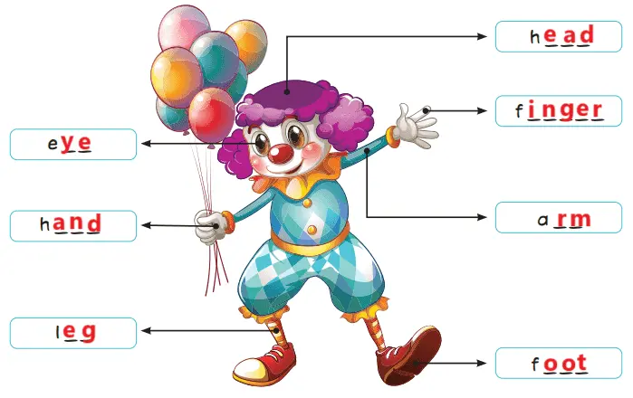 2. Sınıf İngilizce Ders Kitabı 90-91-92-93-94-95-96-97-98-99-100-101. Sayfa Cevapları Hecce Yayıncılık 2. Sınıf İngilizce Ders Kitabı Sayfa 92 Cevapları Hecce Yayıncılık