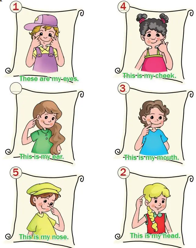 2. Sınıf İngilizce Ders Kitabı 90-91-92-93-94-95-96-97-98-99-100-101. Sayfa Cevapları Hecce Yayıncılık 2. Sınıf İngilizce Ders Kitabı Sayfa 96 Cevapları Hecce Yayıncılık